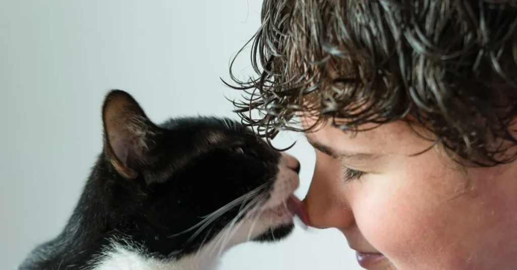 what does it mean when a cat licks you